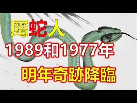 1989 五行